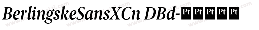 BerlingskeSansXCn DBd字体转换